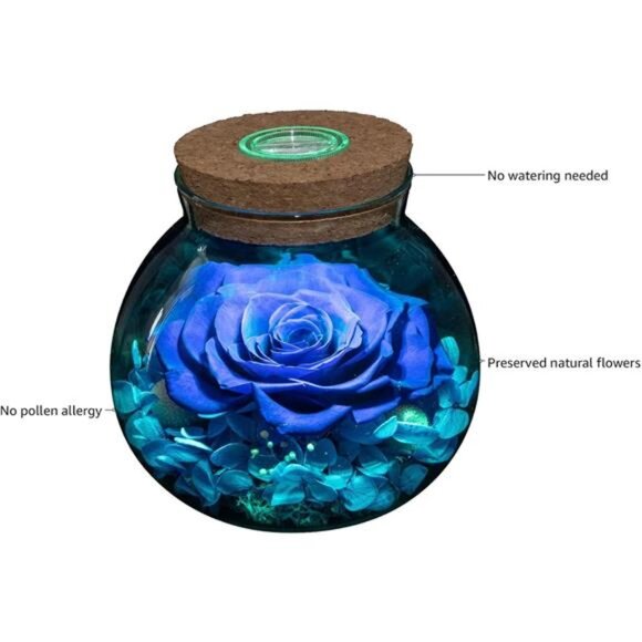 Preserved Real Roses with Colorful Mood Light Wishing Bottle, Eternal - Picture 11 of 14